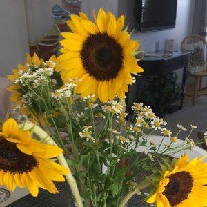 Meet your Posher, Carol